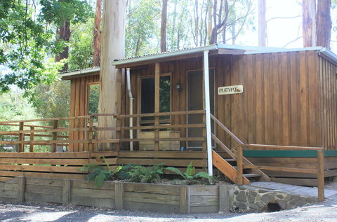 Tarra Valley Caravan Park - Accommodation Bookings 1