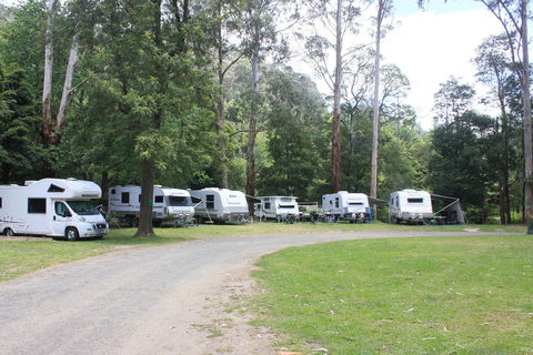 Tarra Valley Caravan Park - Accommodation Bookings 2