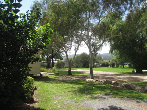 Tenterfield Lodge And Caravan Park - Accommodation Bookings 1
