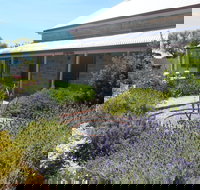 Ti Tree Cottage - Accommodation Bookings