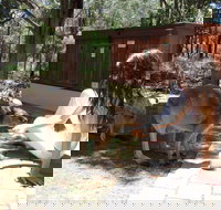 Yelverton Brook Eco Spa Retreat and Conservation Sanctuary - Accommodation Bookings