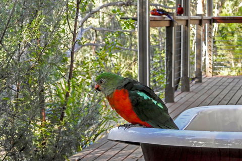 Araluen Park Cottages - Accommodation Bookings 2