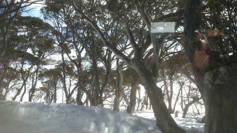 Barina Milpara Lodge - Accommodation Bookings 1