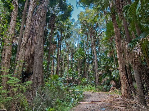 Brambles Green Campground - Accommodation Bookings 1