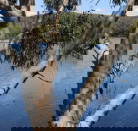 Bumberry Dam - Accommodation Bookings