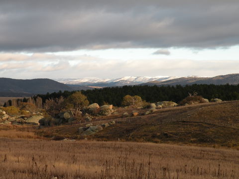 Lachney Cottage - Accommodation Bookings 1