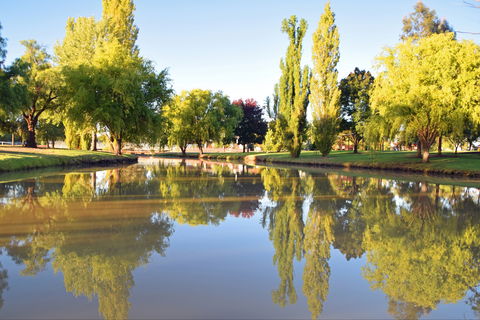 Lockhart Caravan Park - Accommodation Bookings 0