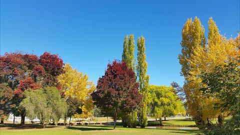Lockhart Caravan Park - Accommodation Bookings 1