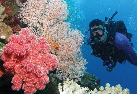 NRMA Palm Cove Holiday Park - Accommodation Bookings 2