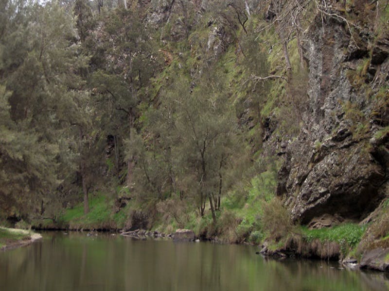 Gundary NSW Accommodation Bookings