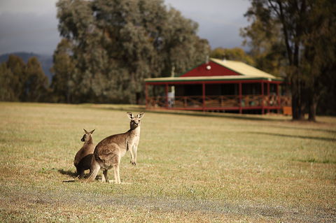 The Pokolbin Cabins - Accommodation Bookings 0