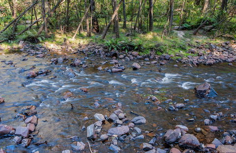 Toorooroo Campground - Accommodation Bookings 0