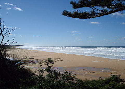 Tuross Lakeview Cottage - Accommodation Bookings 0