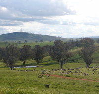 Wantana Cottage Farm Stay - Accommodation Bookings