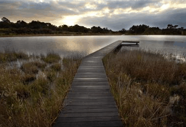 Hidden Valley Forest Retreat - Accommodation Bookings 4