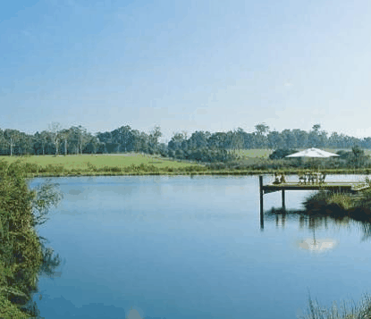 Forest Rise Eco Retreat - Accommodation Bookings