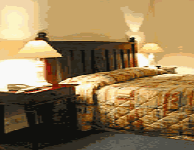 Comfort Inn Treetop Walk - Accommodation Bookings