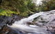 Karri Valley Resort - thumb 2