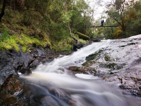 Karri Valley Resort - Accommodation Bookings 2
