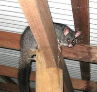 Warren River Resort - Accommodation Bookings