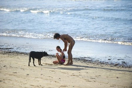 Scotts Head Holiday Park - Accommodation Bookings 2