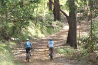 Craigmhor Mountain Retreat - Accommodation Bookings 2