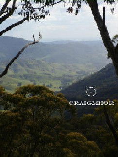 Craigmhor Mountain Retreat - Accommodation Bookings 3