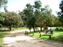 Gracetown Caravan Park - Accommodation Bookings 1