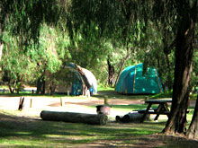 Gracetown Caravan Park - Accommodation Bookings 2