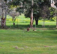 Chalets on Stoneville - Accommodation Bookings