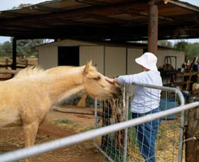 Nallan Station - Accommodation Bookings 0