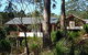 Grass Trees Escape - thumb 0
