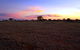Wogarno Homestead - thumb 0