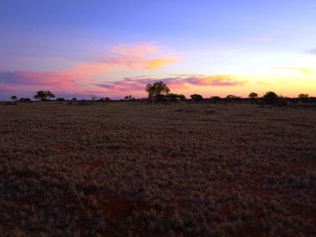 Wogarno Homestead - Accommodation Bookings 0