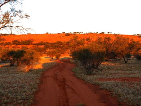 Wogarno Homestead - Accommodation Bookings 1
