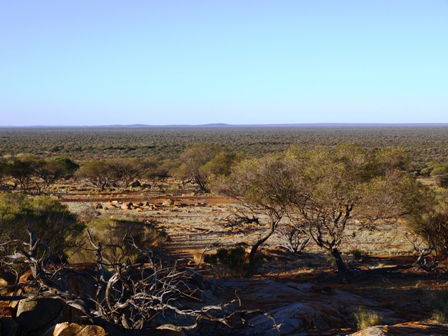 Wogarno Homestead - Accommodation Bookings 2