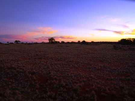 Wogarno Homestead - Accommodation Bookings 4