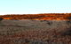 Wogarno Homestead - thumb 5