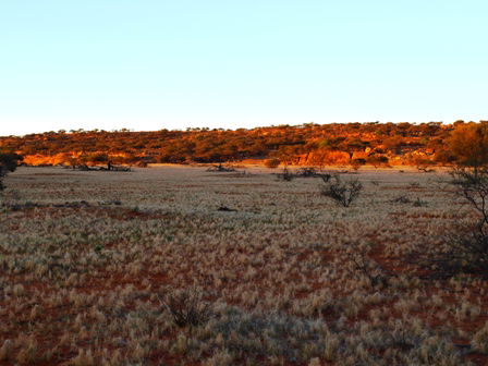 Wogarno Homestead - Accommodation Bookings 5