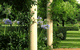 Tree Elle Retreat - thumb 1