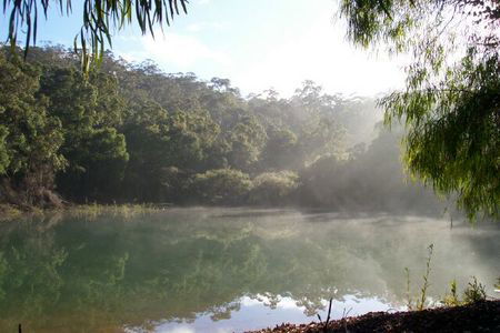 Karri Valley Chalets - Accommodation Bookings 2