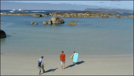Misty Valley Country Cottages - Accommodation Bookings 1