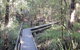 Misty Valley Country Cottages - thumb 3