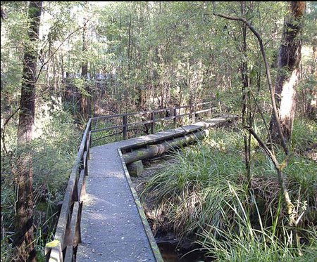 Misty Valley Country Cottages - Accommodation Bookings 3