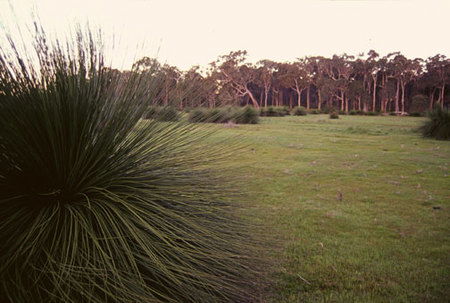 Caves Road Chalets - Accommodation Bookings 1