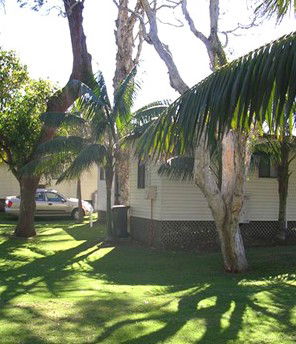 Arrawarra Beach Holiday Park - Accommodation Bookings 1