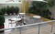 Clyde River Motor Inn - thumb 1