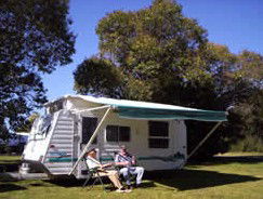 Bega Caravan Park - Accommodation Bookings 1