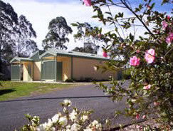 Bega Caravan Park - Accommodation Bookings 5