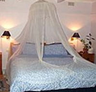 Bondi Beach Garden Sweet - Accommodation Bookings